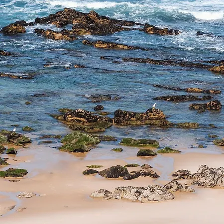 بيت للعطل Ocean & Me - With Pool In Santa Cruz *