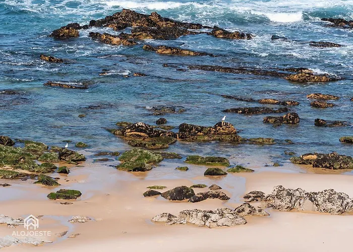 Casa de Férias Ocean & Me - With Pool In Santa Cruz *